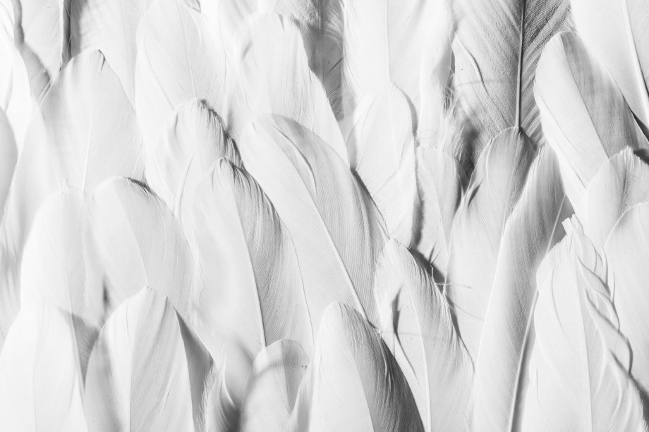 death_to_stock_tactile_7